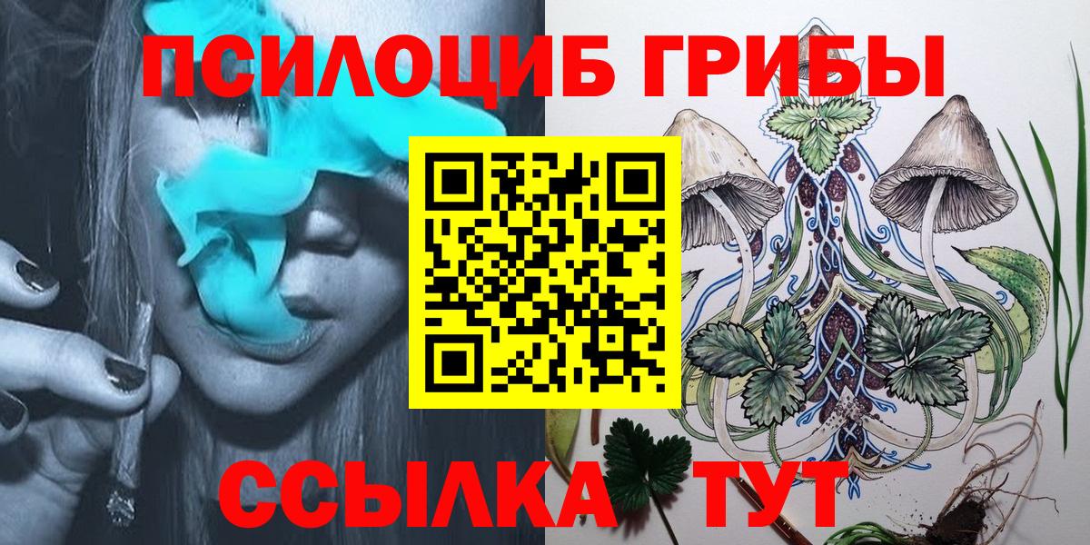 Галлюциногенные грибы Psilocybine cubensis  Вход с VPN  Нововоронеж 